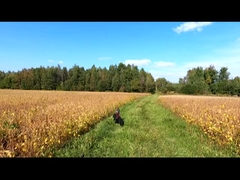 Vaste vleugel Verticale UAV Drone Surveillance Mapping Landbouw Industrieel Vliegtuig